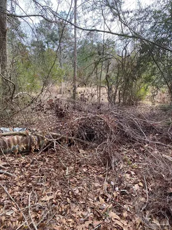 $875,000 | 0 Hwy 4 Jay, Jay, FL 32565