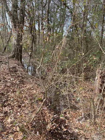 $875,000 | 0 Hwy 4 Jay, Jay, FL 32565