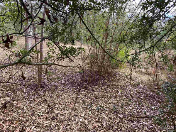 $875,000 | 0 Hwy 4 Jay, Jay, FL 32565