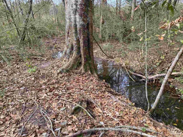 $875,000 | 0 Hwy 4 Jay, Jay, FL 32565