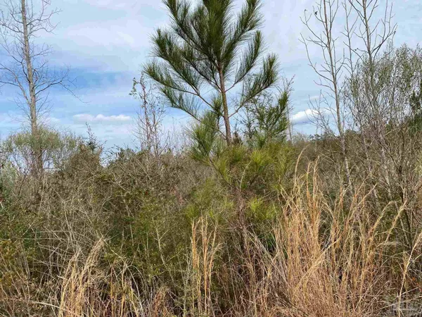 $875,000 | 0 Hwy 4 Jay, Jay, FL 32565