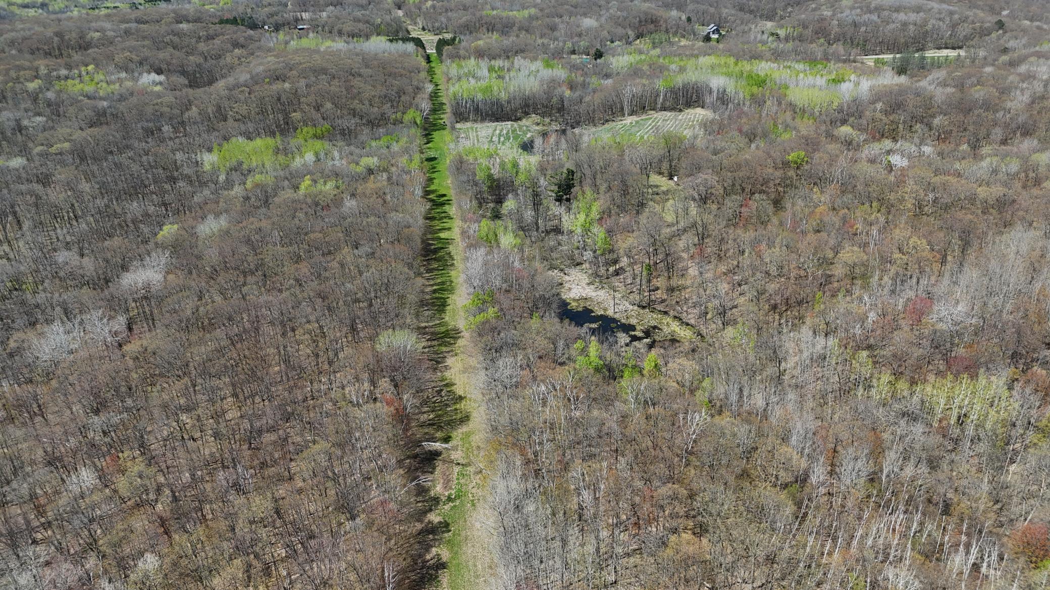Tbd Bear Road Cushing, MN 56443 - Photo 17 of 42