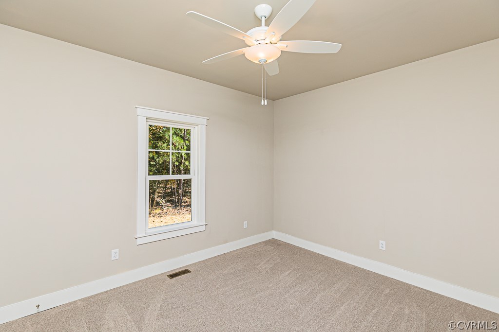 15034 Blunts Bridge Road Doswell, VA 23047 - Photo 31 of 49 Gallery Image 31
