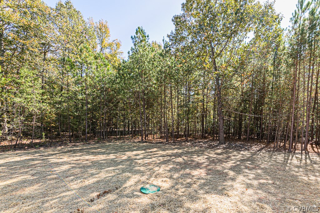 15034 Blunts Bridge Road Doswell, VA 23047 - Photo 43 of 49 Gallery Image 43