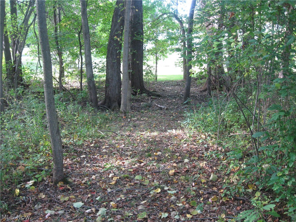 9020 Diagonal Road Streetsboro, OH 44241 - Photo 21 of 26 This wooded path leads to your own private clearing to the Cuyahoga River!!