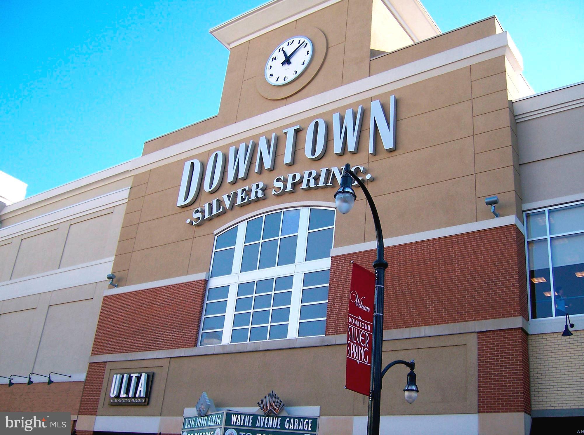 1334 Leegate Road Northwest Washington, DC 20012 - Photo 47 of 48 Downtown Silver Spring Retail Center