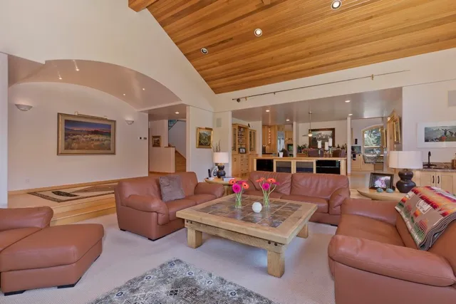 a living room with furniture or couch and a potted plant