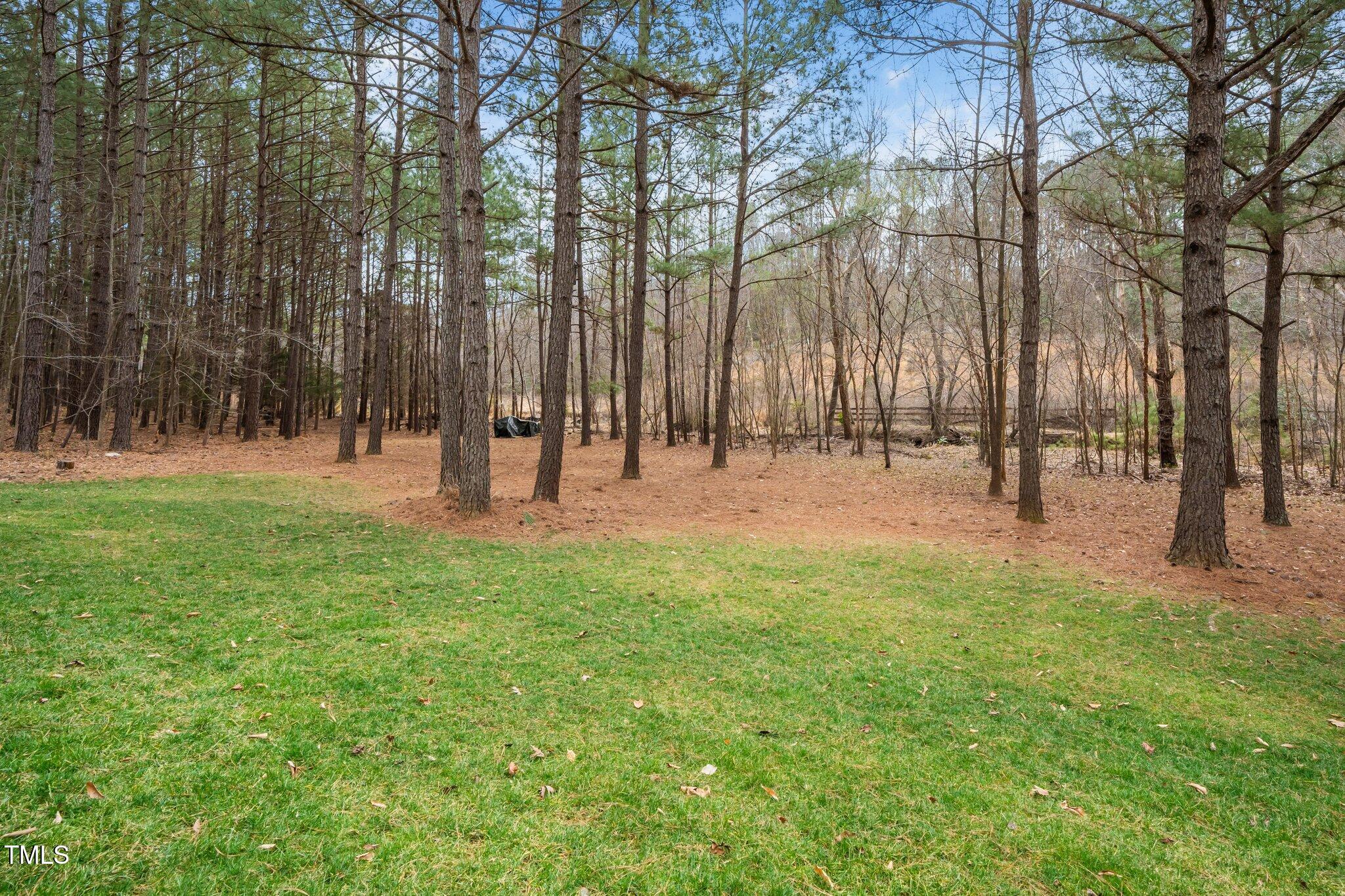 7001 Millstone Ridge Court Raleigh, NC 27614 - Photo 50 of 54 51-web-or-mls-7001 Millstone (253 of 330