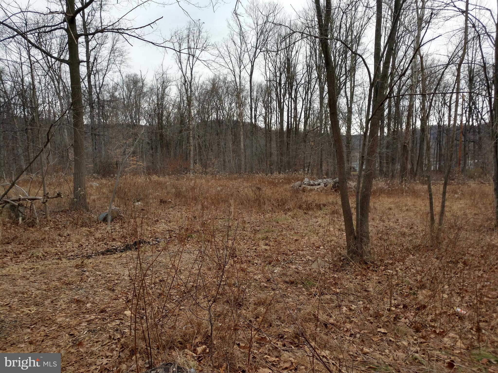 375 Forgedale Road Barto, PA 19504 - Photo 6 of 8 Gallery Image 6