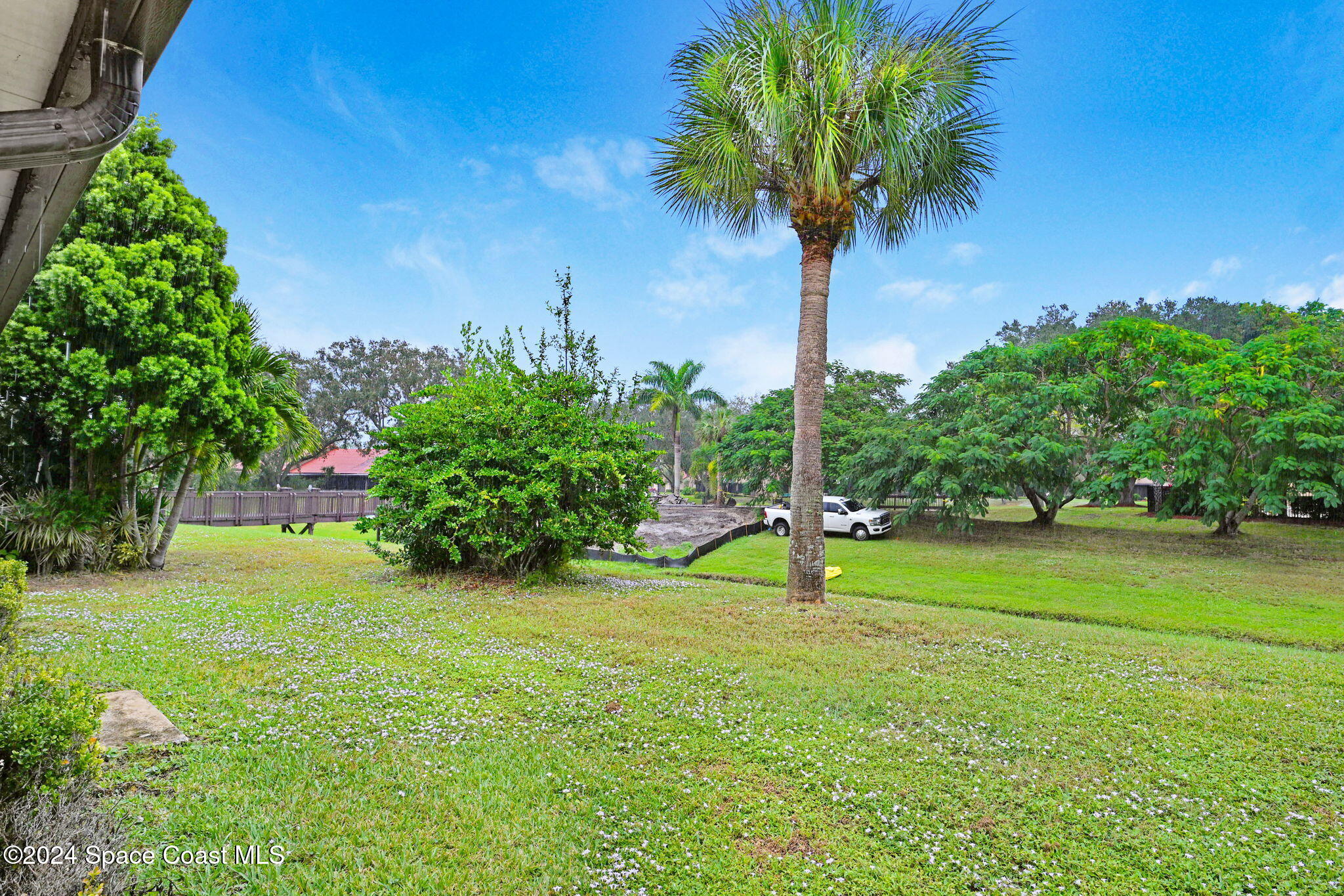 815 Brae Court Northeast Palm Bay, FL 32905 - Photo 20 of 21 a view of a garden with a tree