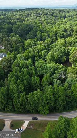 a view of a garden in a yard