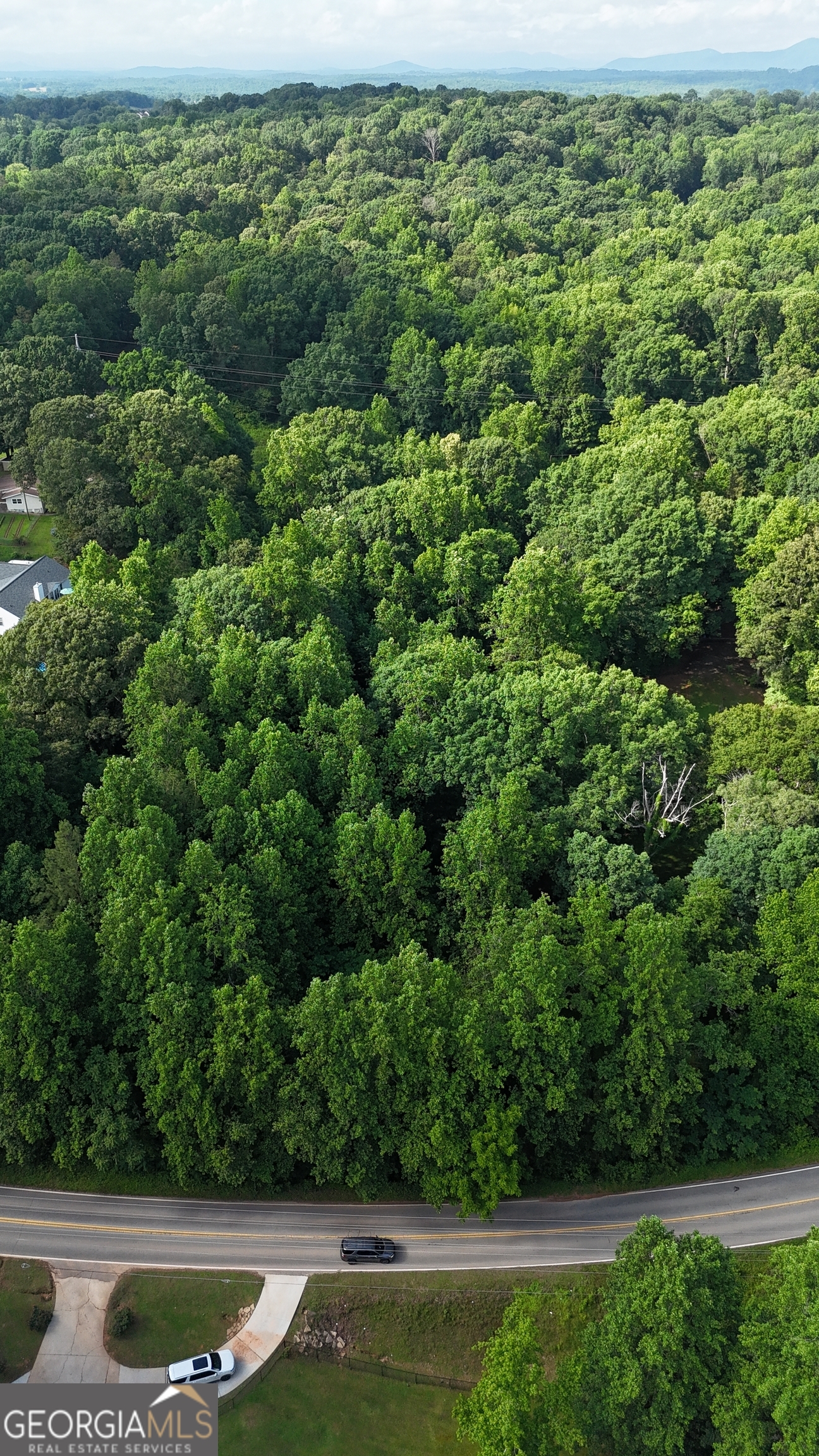 3664 Ledan Road Gainesville, GA 30506 - Photo 5 of 7 a view of a garden in a yard