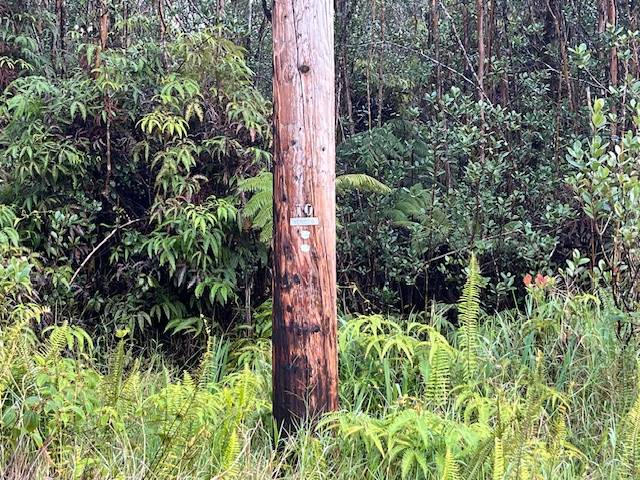 Lot 121 Road 3 Volcano Hi 96785  