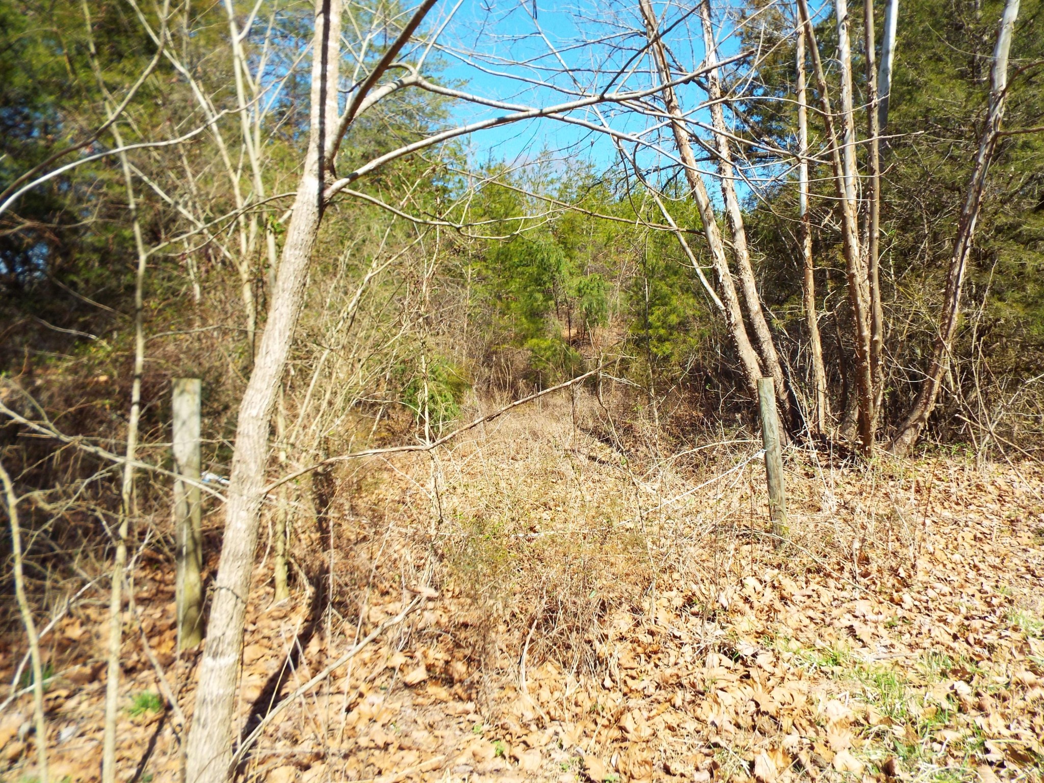 0 Clearwood Road Newport, TN 37821 - Photo 7 of 11 Gallery Image 7
