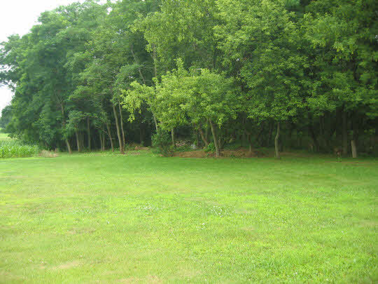 16151 Hauley Road Rockton, IL 61072 - Photo 8 of 10 Gallery Image 8