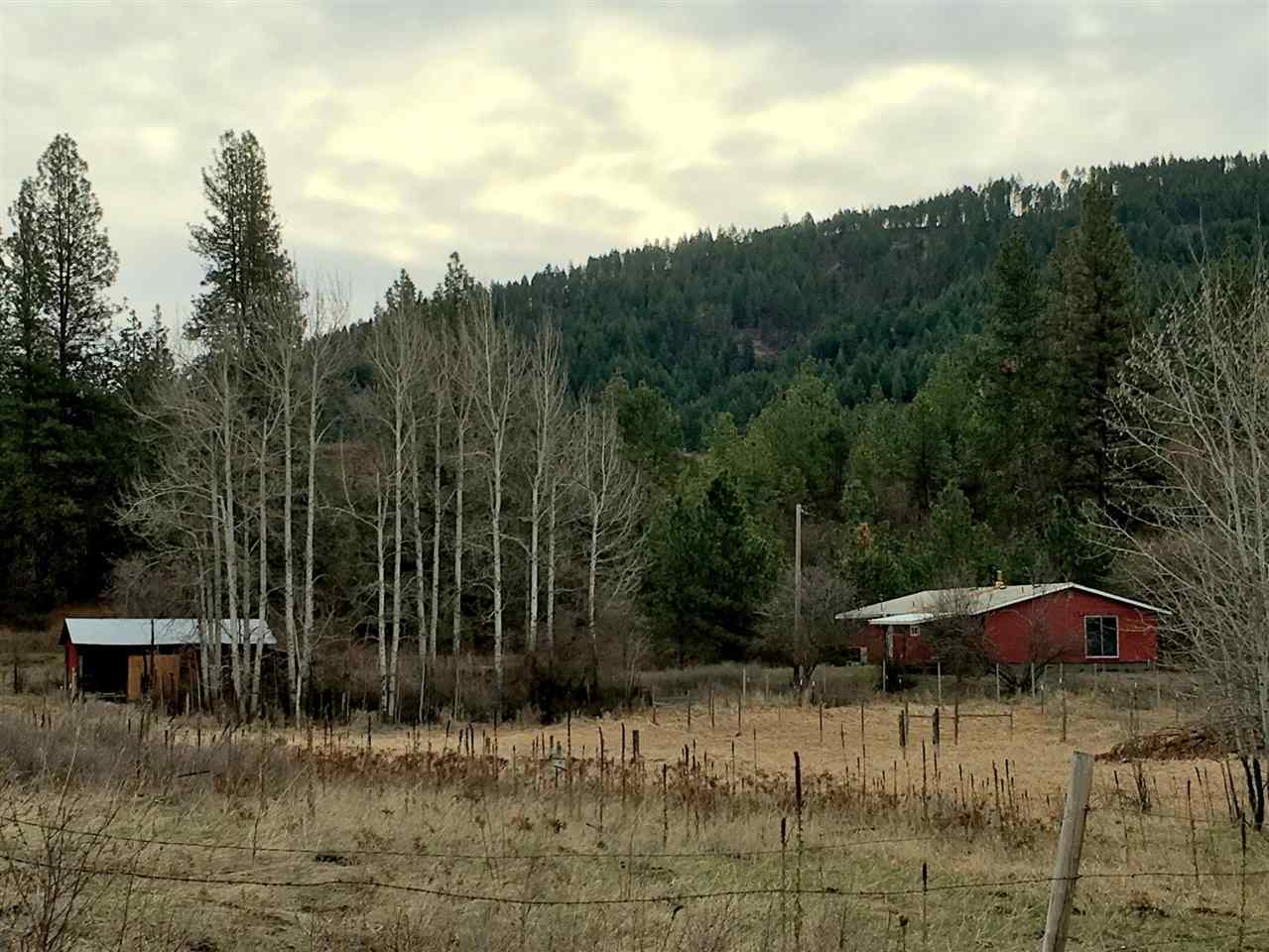 2269 Heidegger Road Rice, WA 99167 - Photo 2 of 20