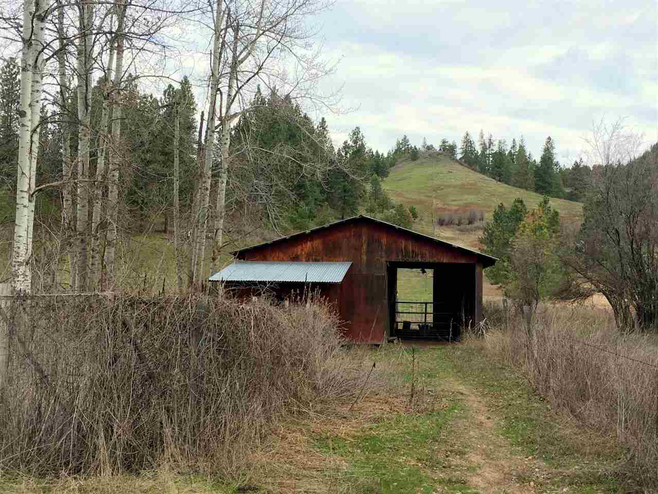 2269 Heidegger Road Rice, WA 99167 - Photo 3 of 20