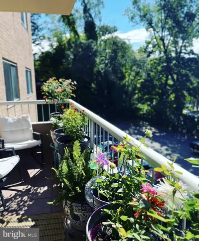 a bunch of flowers in front of flowers
