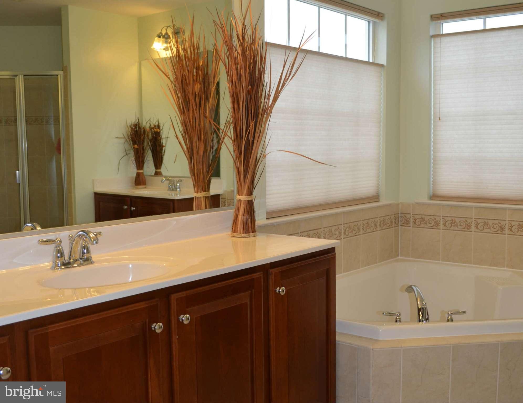 2301 Pomander Road Baltimore, MD 21209 - Photo 21 of 28 Bath (Master)
