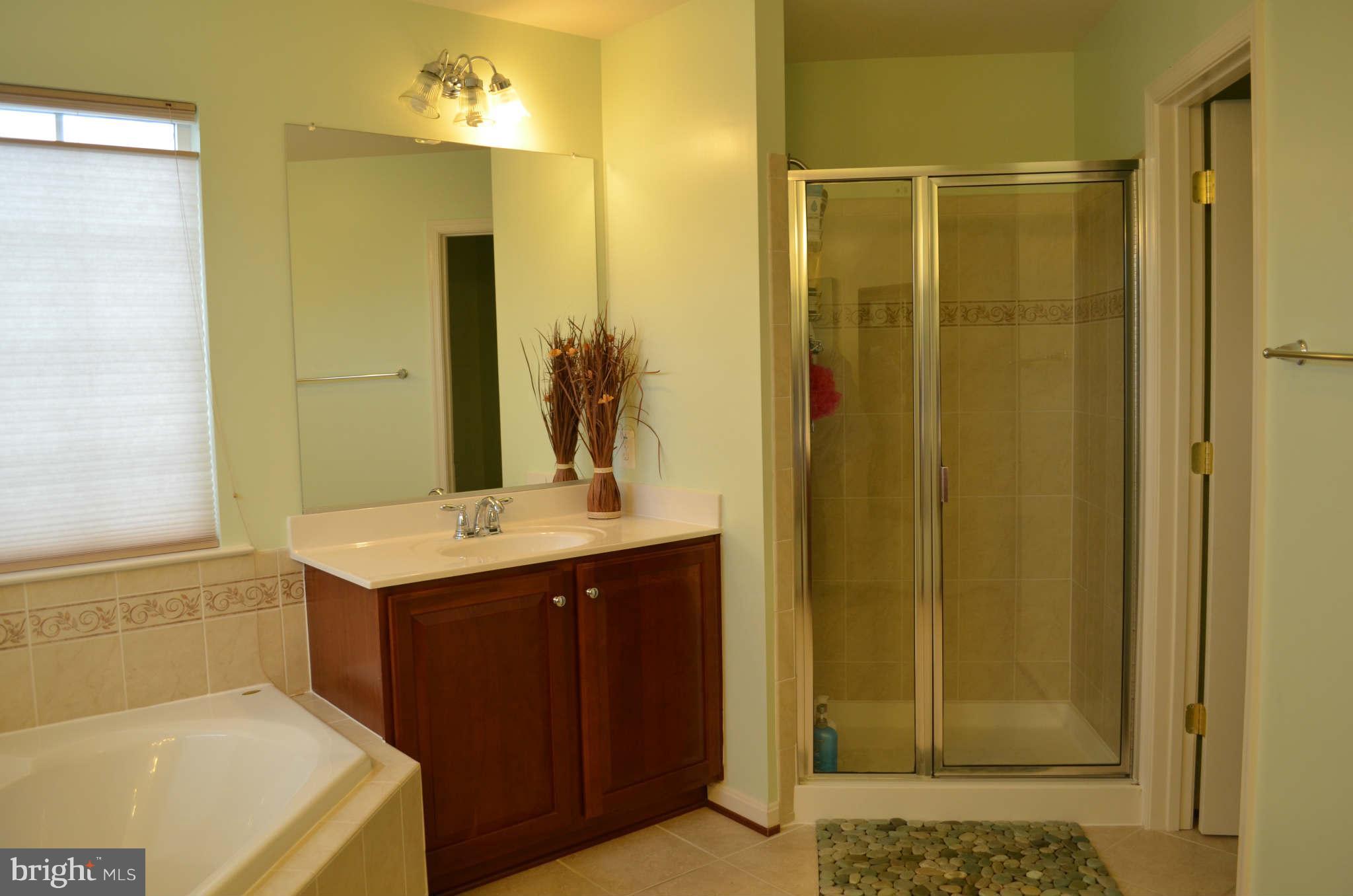 2301 Pomander Road Baltimore, MD 21209 - Photo 22 of 28 Bath (Master)