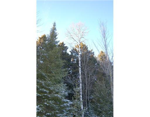 91 Wardens Camp Road Topsfield, ME 04490 - Photo 17 of 17 Land/Lot.