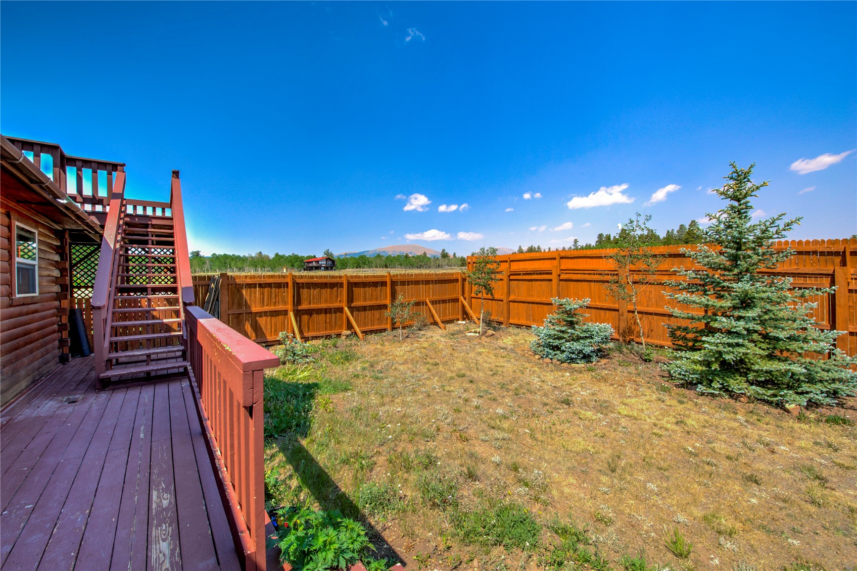 653 Vine Road Fairplay, CO 80440 - Photo 9 of 50