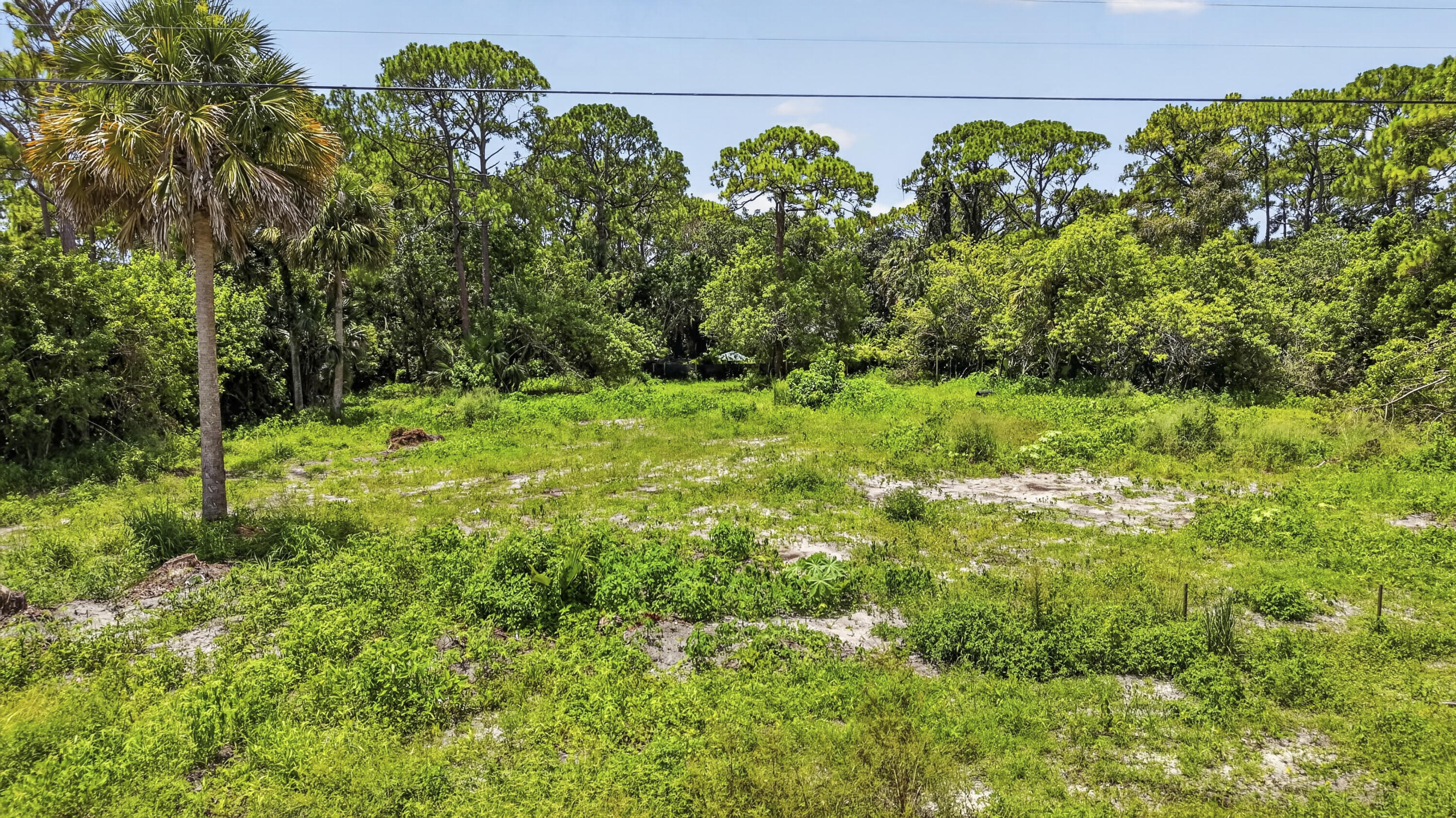 17072 93rd Road North The Acreage, FL 33470 - Photo 22 of 22 DJI_20260713124849_0696_D
