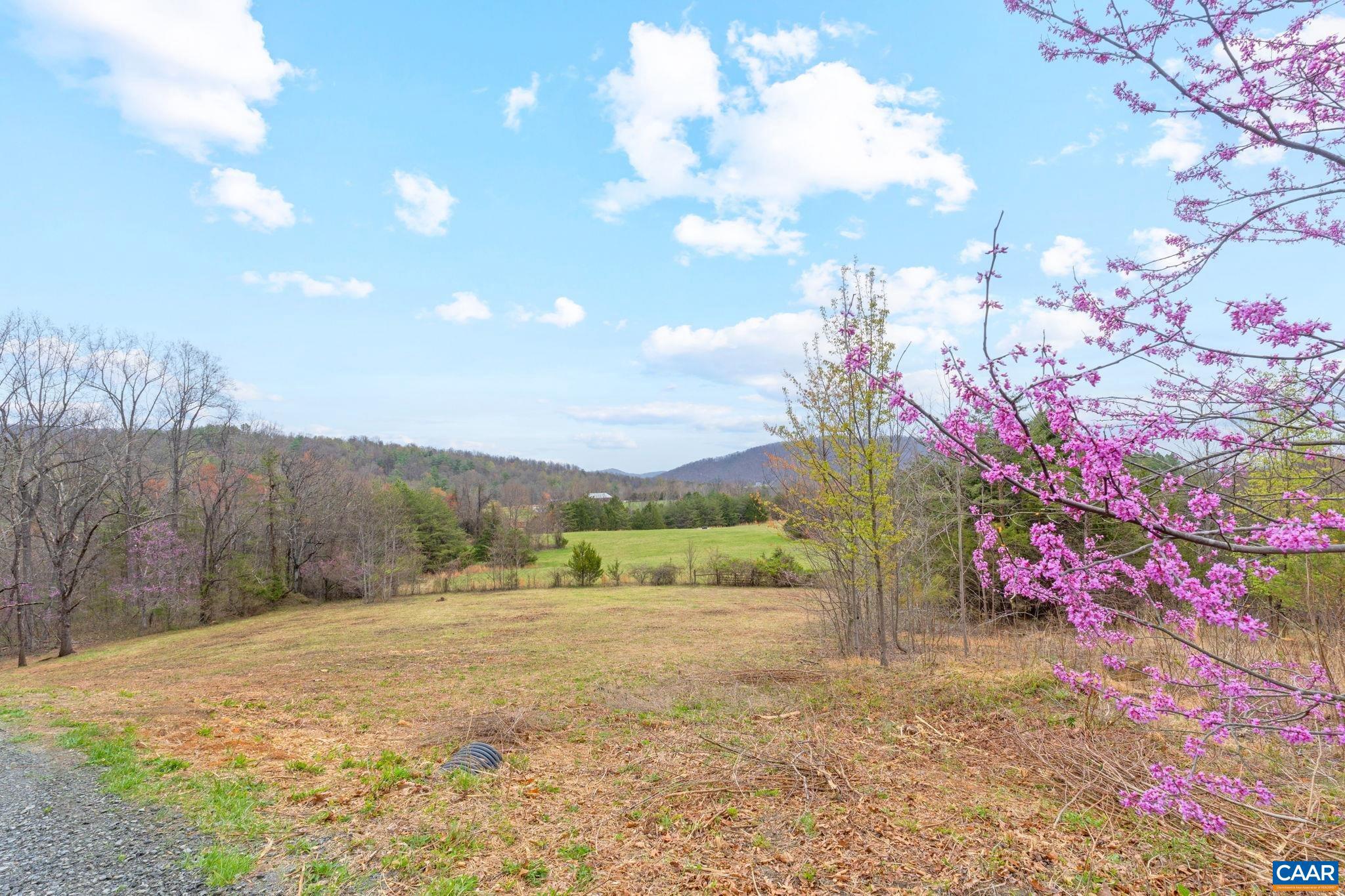 a view of a yard with mountains in the background