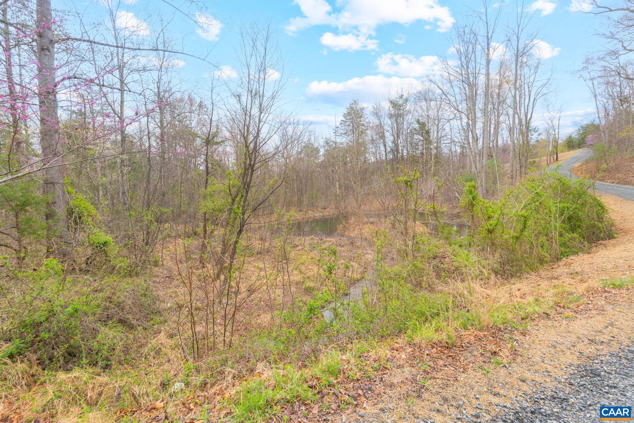 0 Hideaway Ridge Stanardsville, VA 22973 - Photo 14 of 29