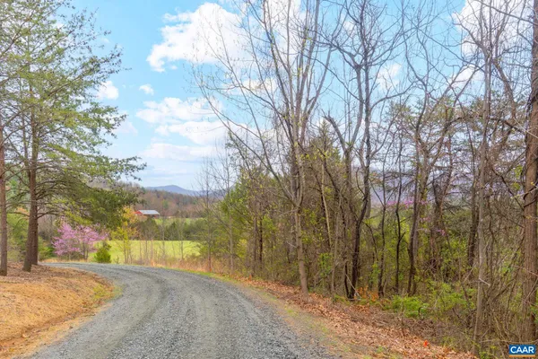 a view of road and trees