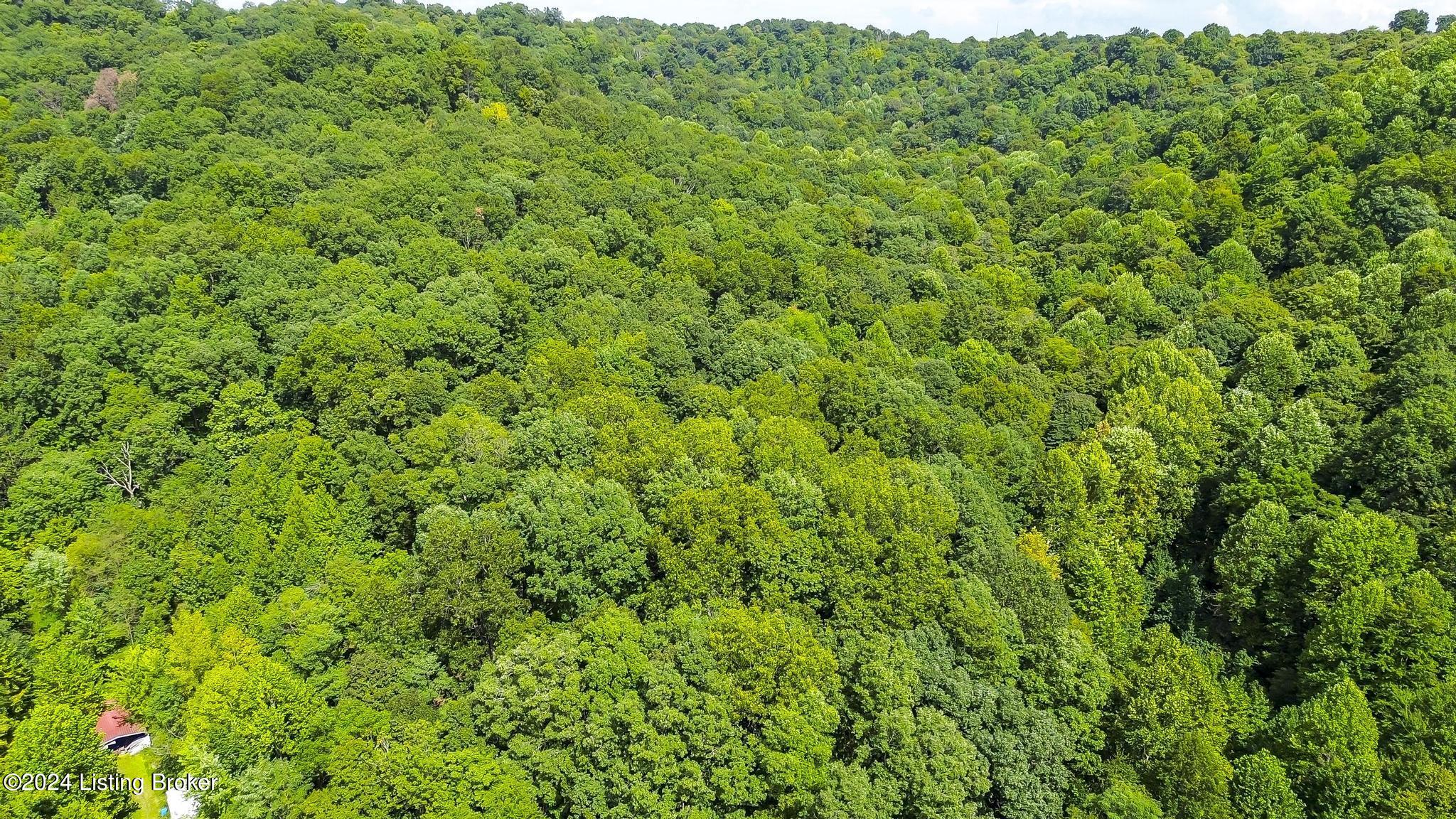 12901 Saw Mill Road Louisville, KY 40272 - Photo 45 of 58 12901_SawMillRd_40272_0903