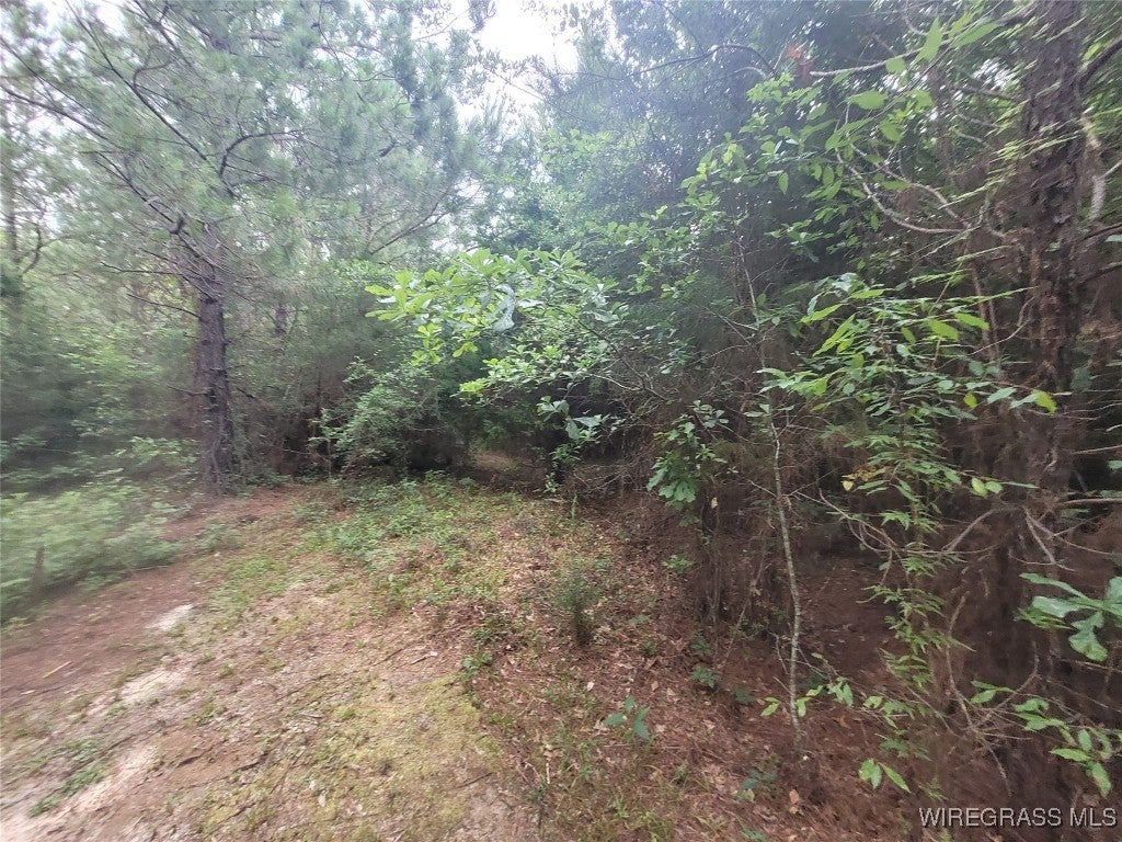 3270 Joe Reeves Road Castleberry, AL 36432 - Photo 51 of 51 Gallery Image 51