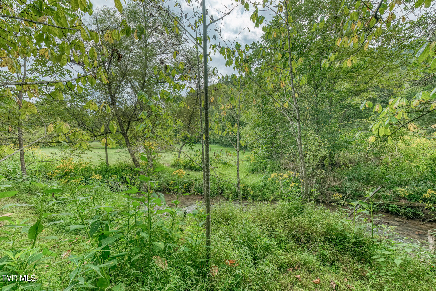 460-346 Austin Powder Road Blountville, TN 37617 - Photo 13 of 60 346 & 460 Austin Powder Rd-55
