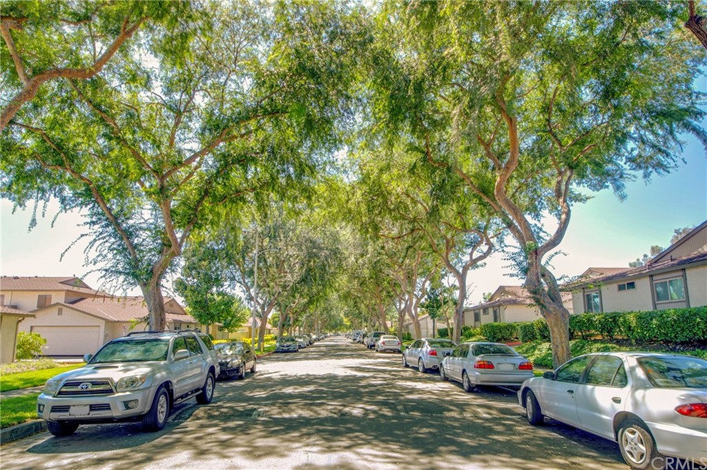 513 D Street, Unit 53 Upland, CA 91786 - Photo 25 of 25 a view of street with parked cars