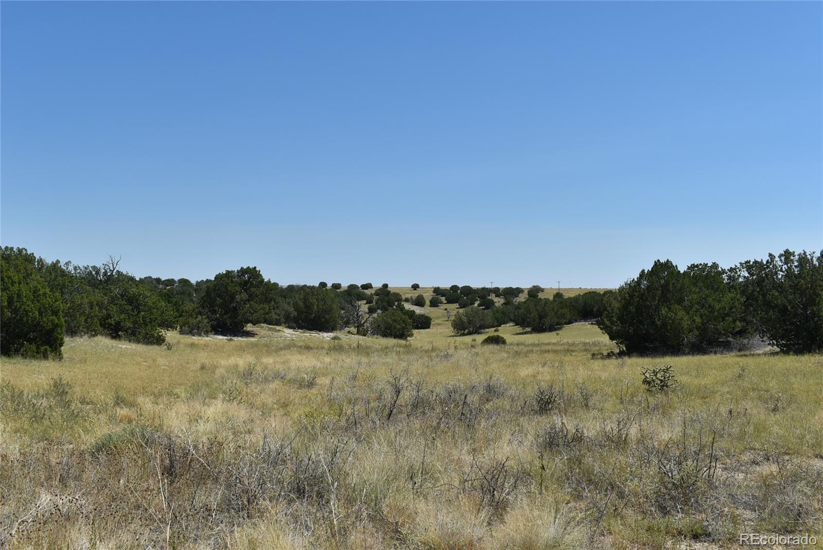 a view of a field with trees in background