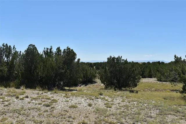 a view of a lake with a yard