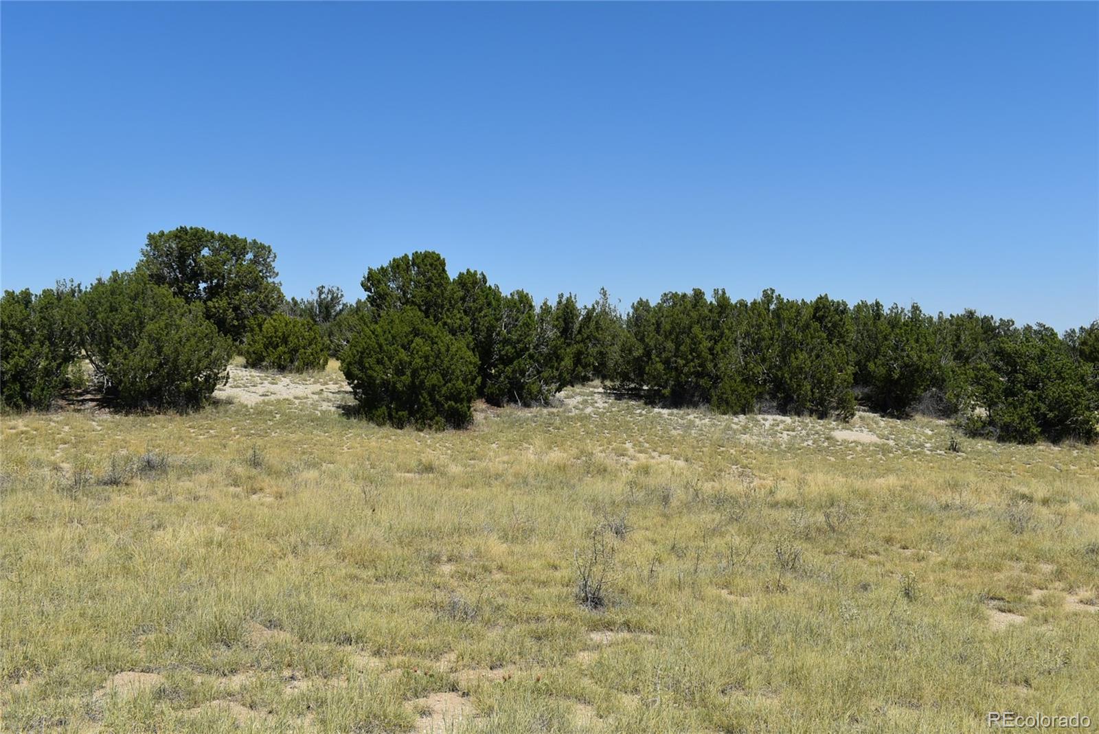 0 County Road Model, CO 81059 - Photo 14 of 18