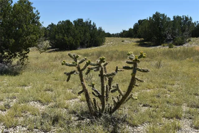 a view of a lake with beach and green space