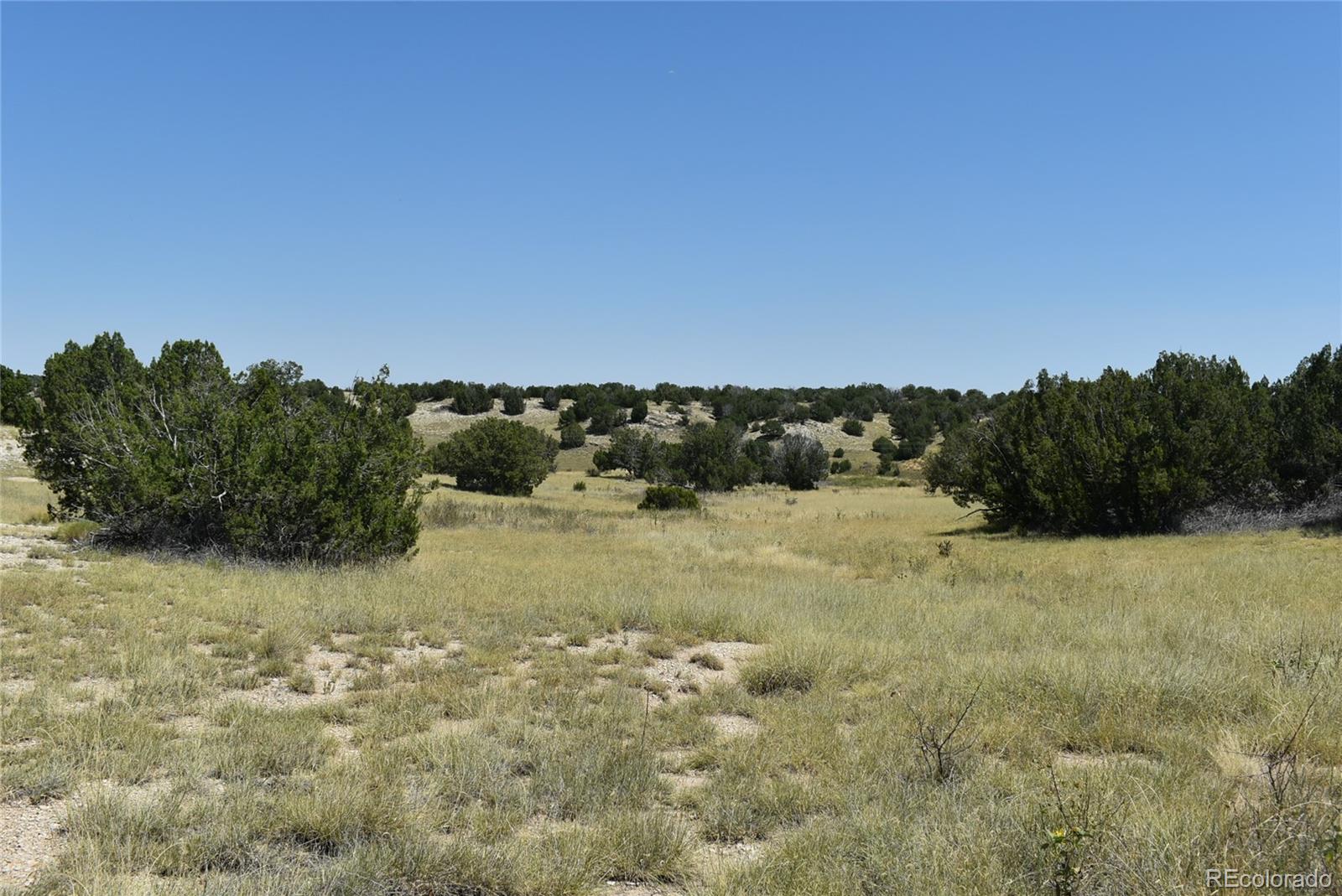 0 County Road Model, CO 81059 - Photo 16 of 18 a view of a field with trees in background