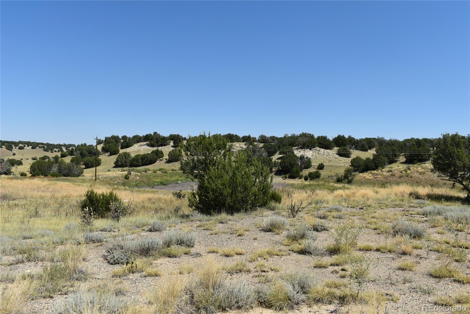 0 County Road Model, CO 81059 - Photo 3 of 18 a view of a yard