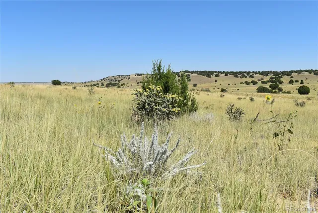 a view of beach and ocean