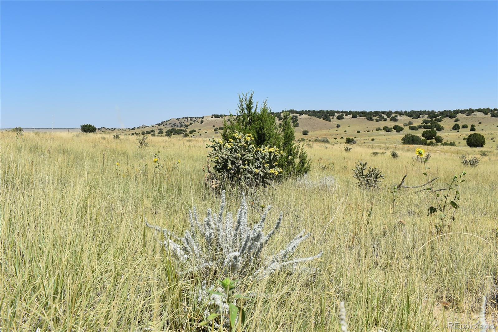 0 County Road Model, CO 81059 - Photo 6 of 18 a view of beach and ocean