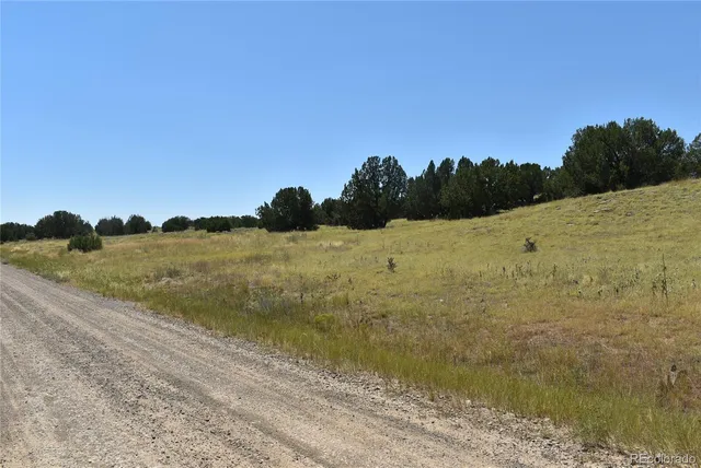 a view of beach and ocean