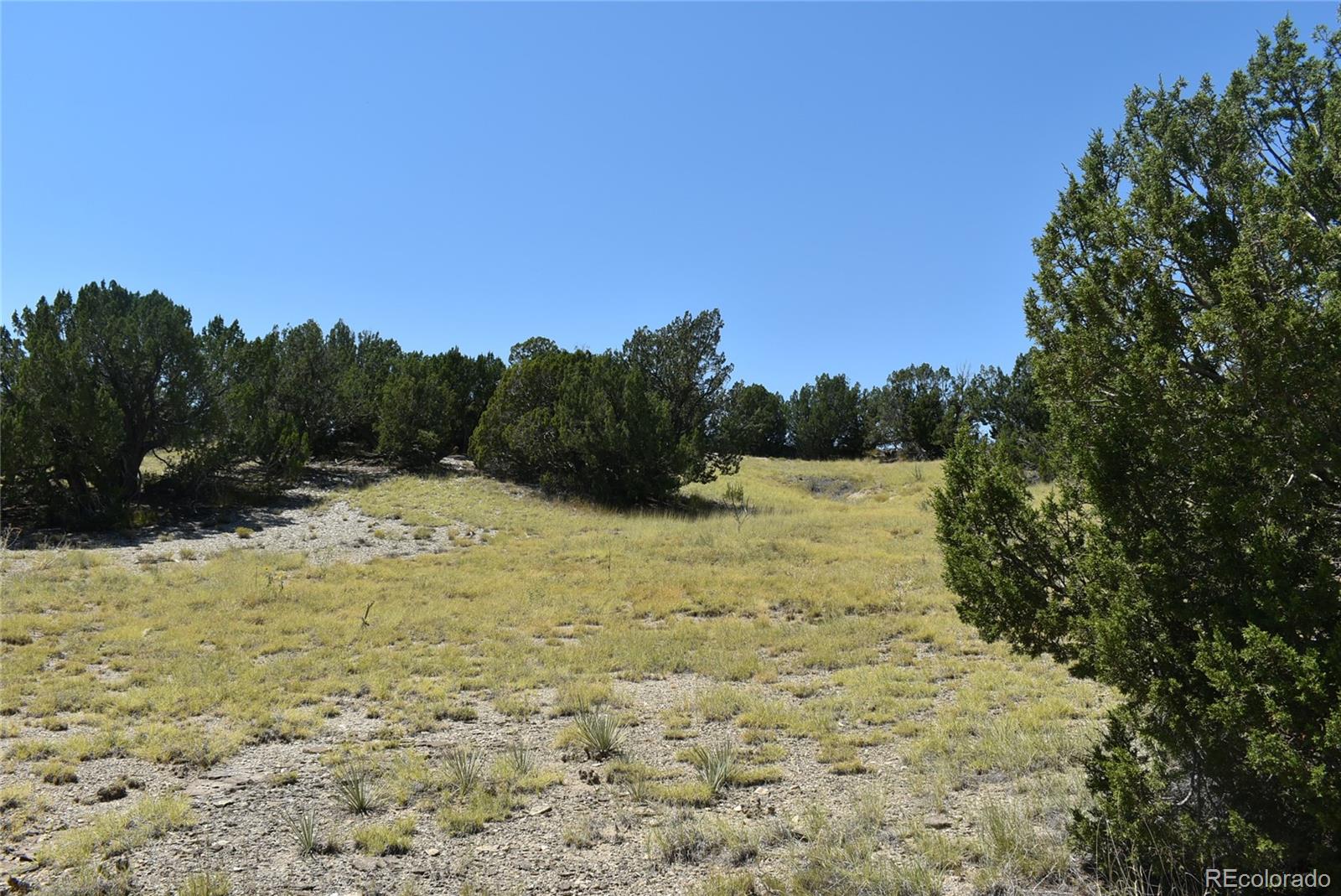 0 County Road Model, CO 81059 - Photo 9 of 18 a view of a lake view