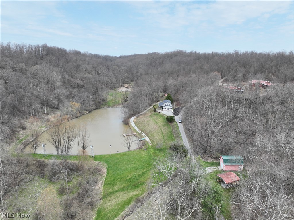 39000 Lees Run Road Cadiz, OH 43907 - Photo 3 of 49