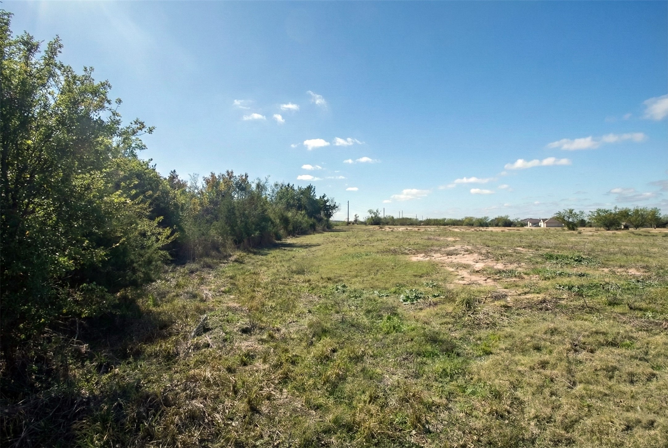 1423 Southfork Ranch Drive Sealy, TX 77474 - Photo 11 of 15 View along the edge of the property where dense trees create a natural buffer, enhancing privacy and quiet surroundings.