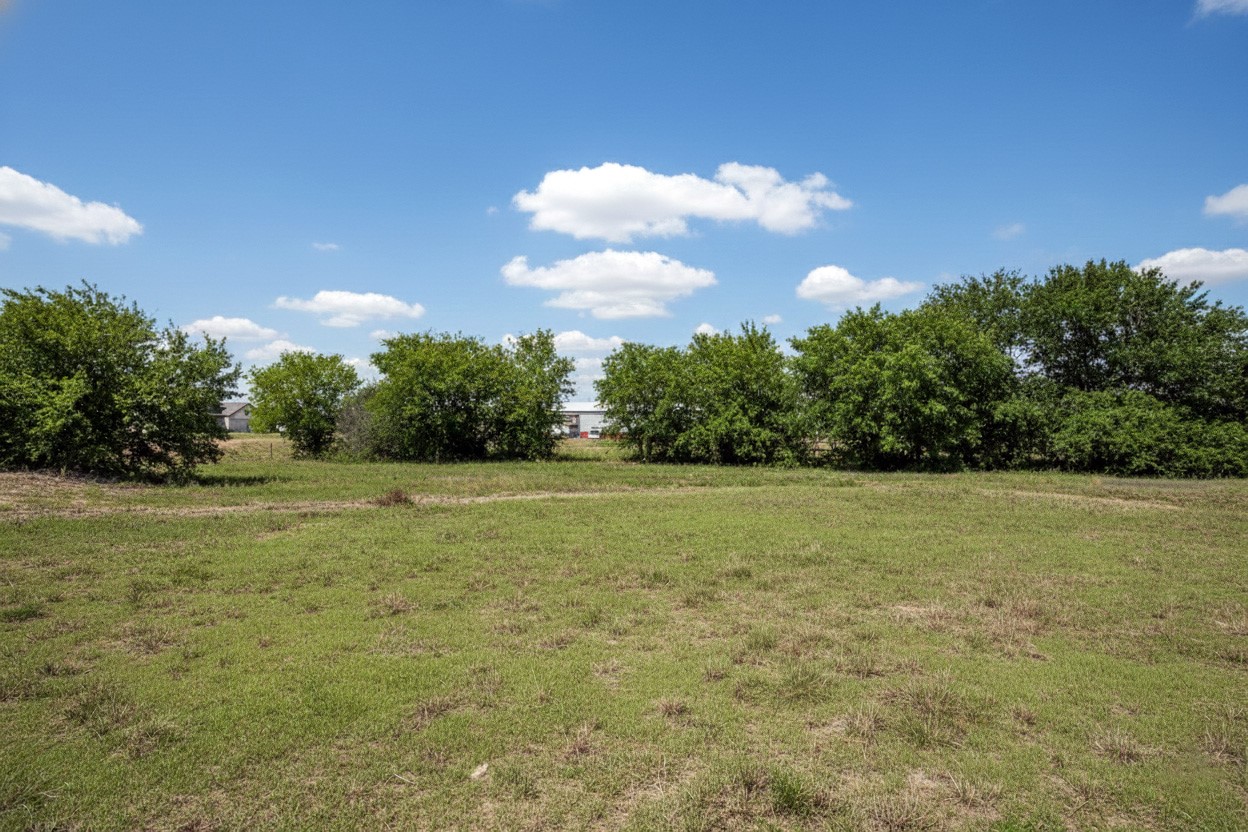 1423 Southfork Ranch Drive Sealy, TX 77474 - Photo 7 of 17 a view of outdoor space and yard