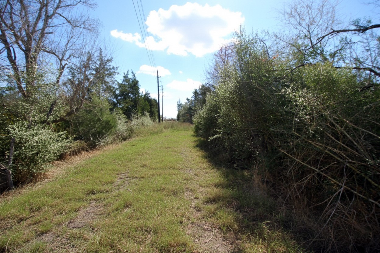 1423 Southfork Ranch Drive Sealy, TX 77474 - Photo 10 of 17 a view of a yard with plants and a bench