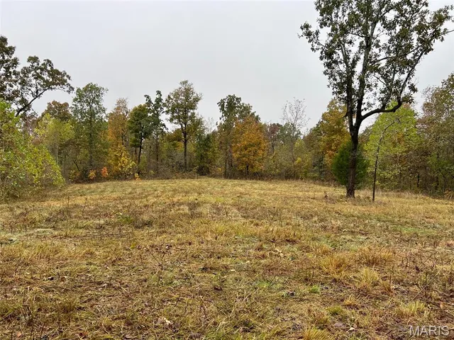 $195,000 | 0 Oregon Co 142 255, Myrtle, MO 65778