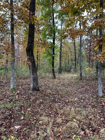 $195,000 | 0 Oregon Co 142 255, Myrtle, MO 65778